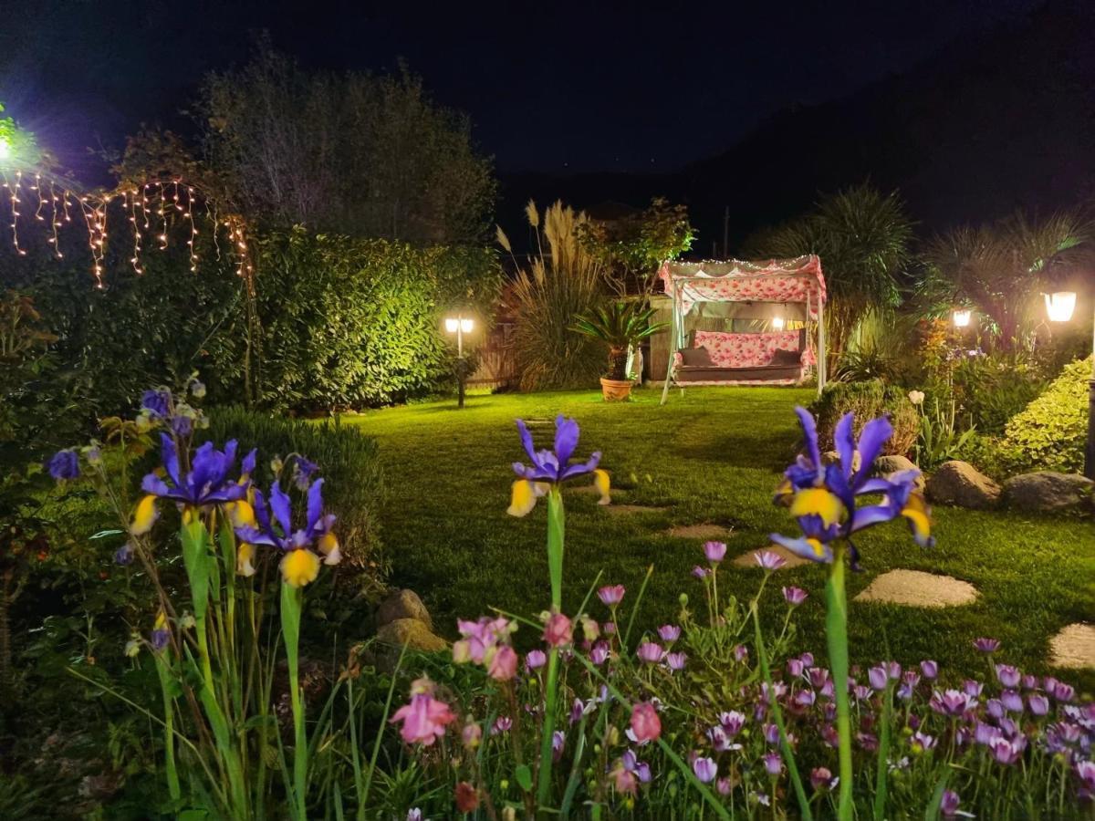 Casa Vacanze Family Албисола Супериоре Екстериор снимка