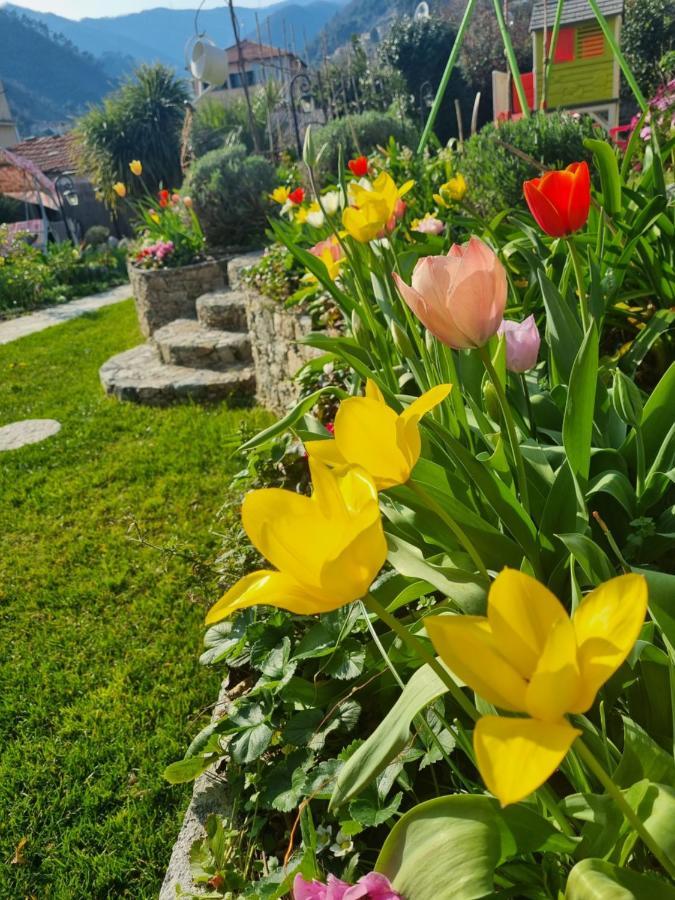 Casa Vacanze Family Албисола Супериоре Екстериор снимка